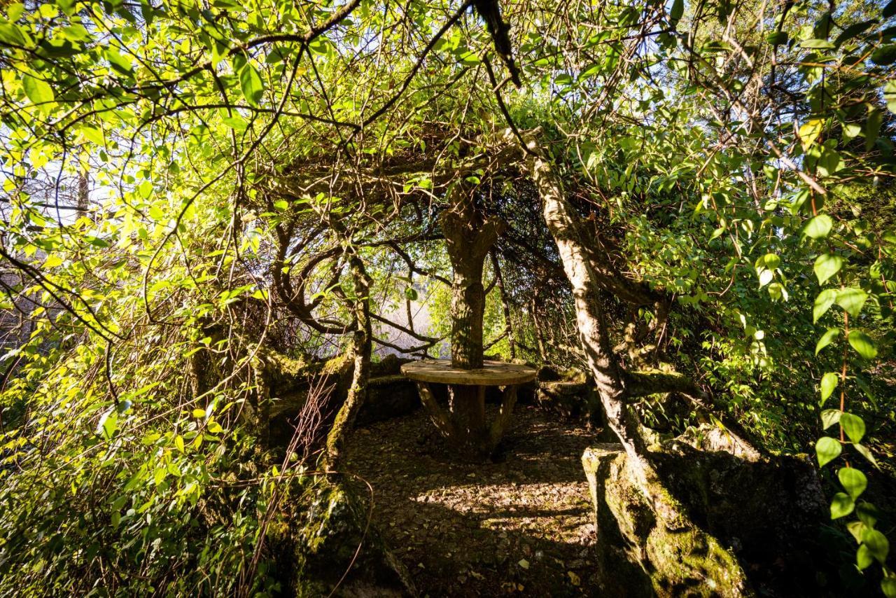 The Grove Houses Hotel Guimarães Kültér fotó